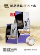 爵加新品幼貓精選上市！