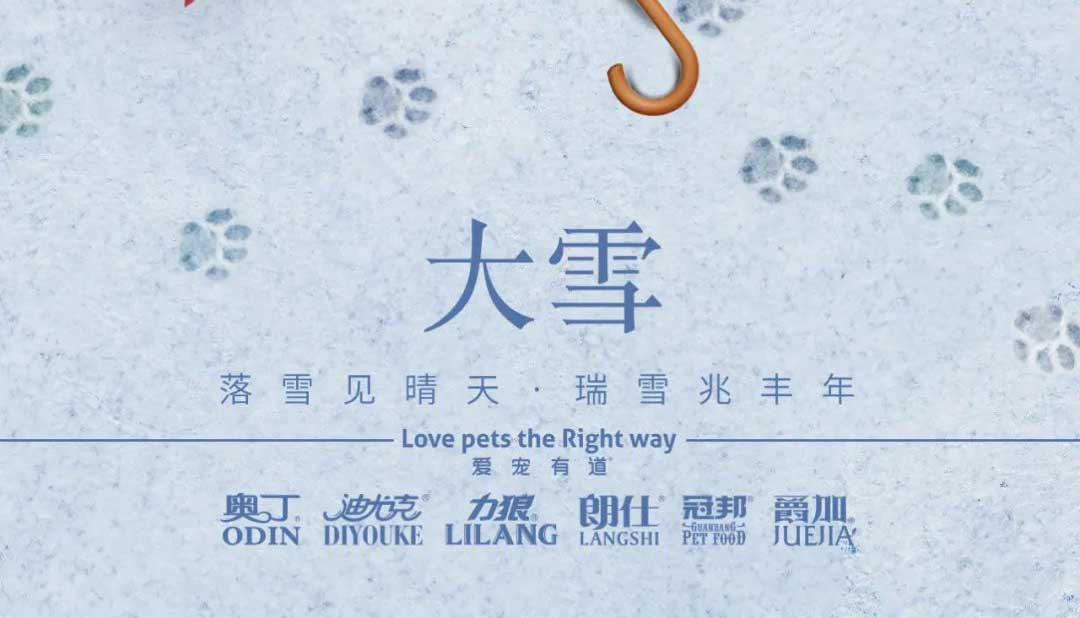 大雪丨雪落知寒意 久伴見初心！