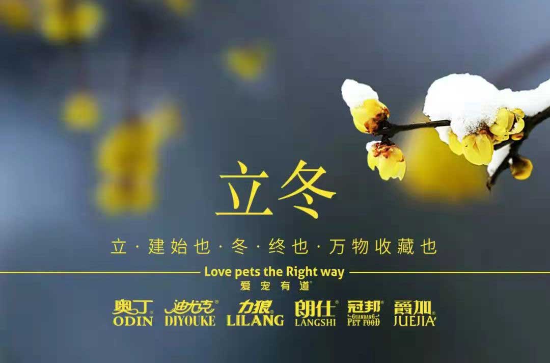 立冬丨冬寒初始，情暖愈濃